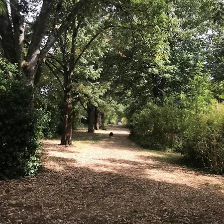 12 A 14 Personnes Au Coeur D'une Magnifique Bambouseraie * Castelsarrasin